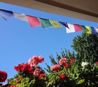 Bed & Breakfast Bonn 24 Mai Bis14 Juni Mit Hund In Der Wohnung Exterior foto